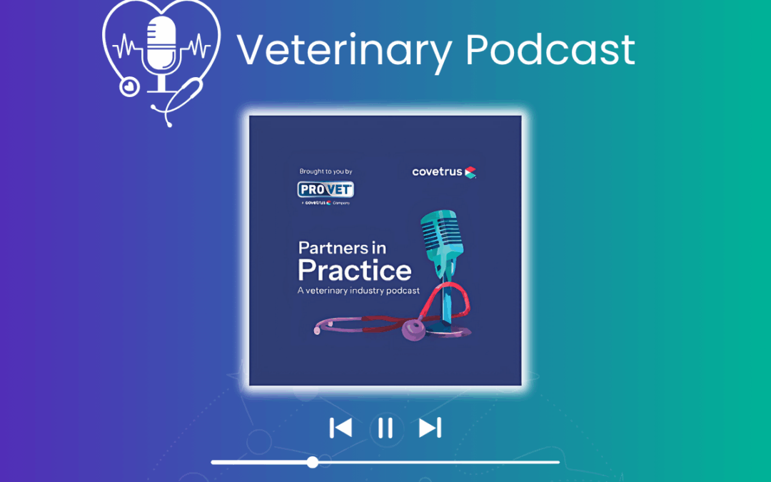 Time-saving tech: how veterinary teams are using AI
